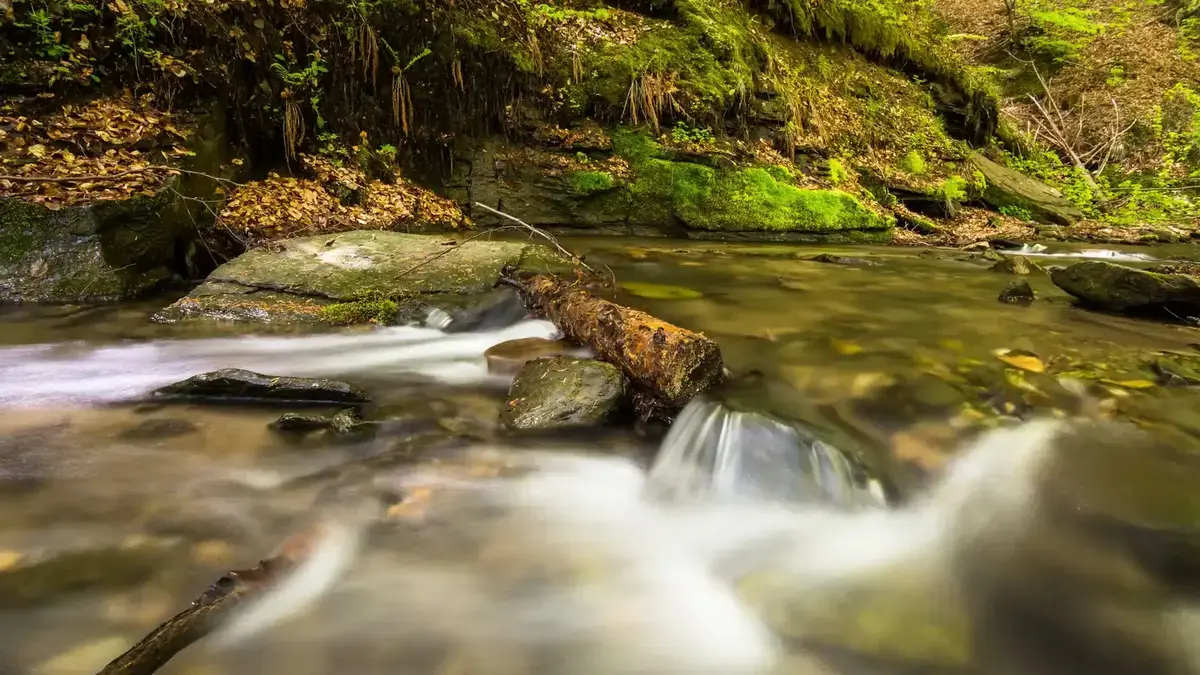 Natural spring at Tiger Spring