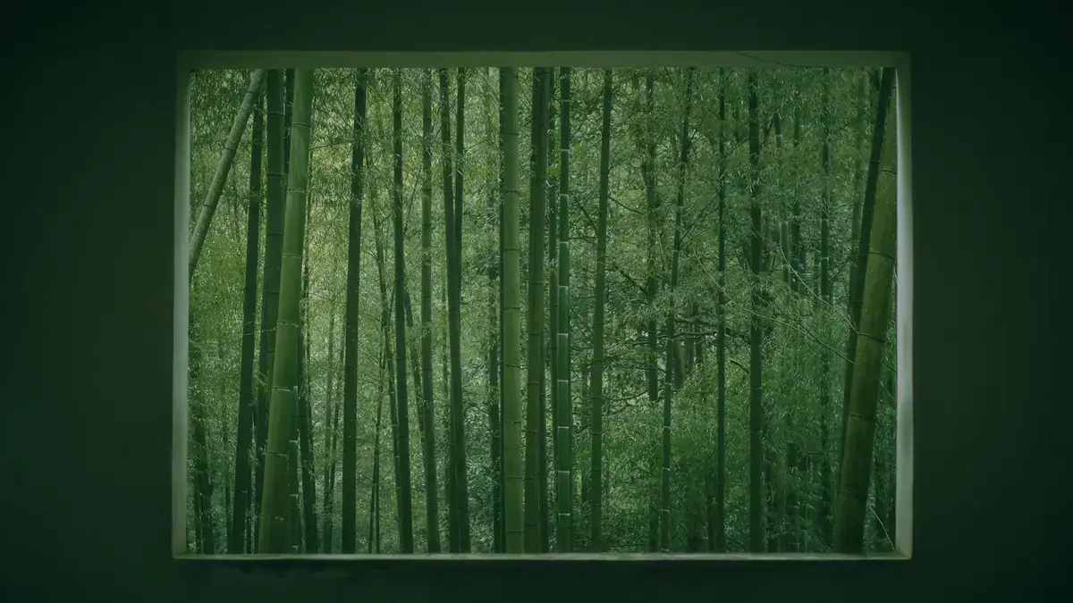 Bamboo groves at Yellow Dragon Cave